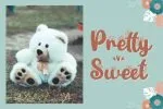 Gabriella Fancy Flower Font