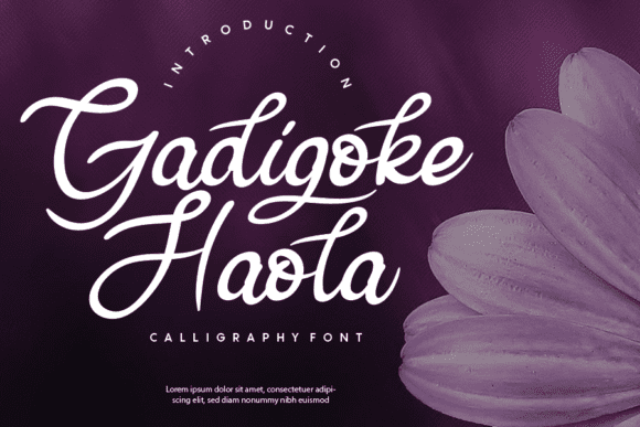 Gadigoke Haola Font