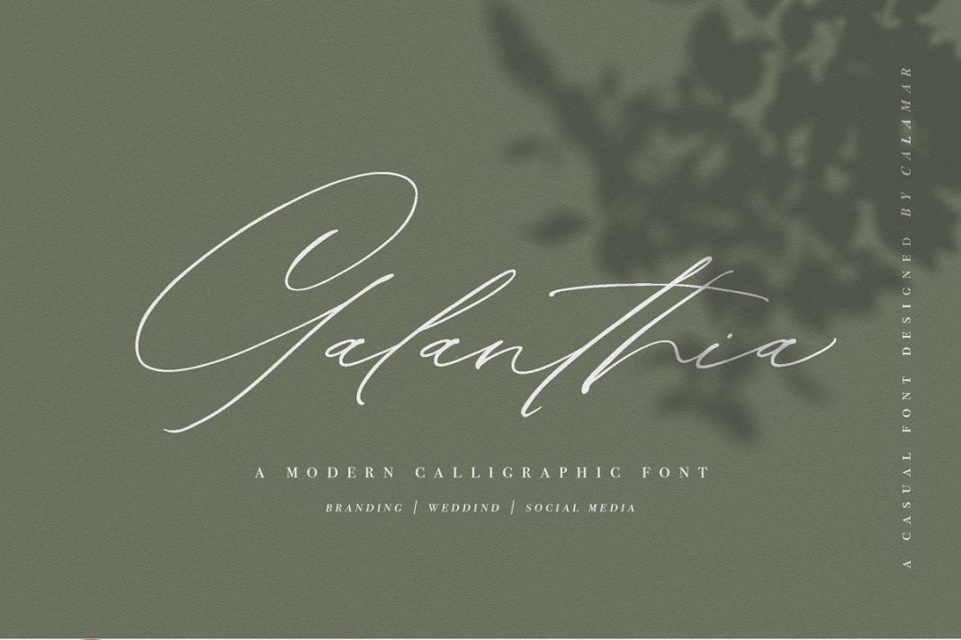 Galanthia Script Font