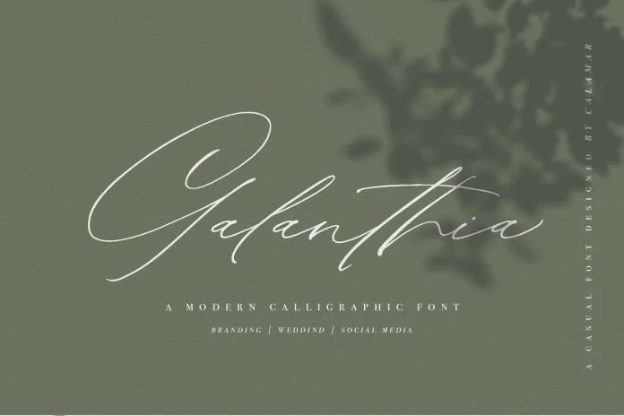 Galanthia Script Font