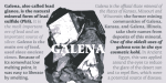 Galena Pro Font Family