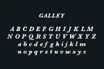 Galley Font + Logo Badges