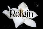 Gallies Font