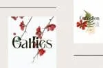 Gallies Font