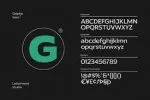 Galpike Sans Font