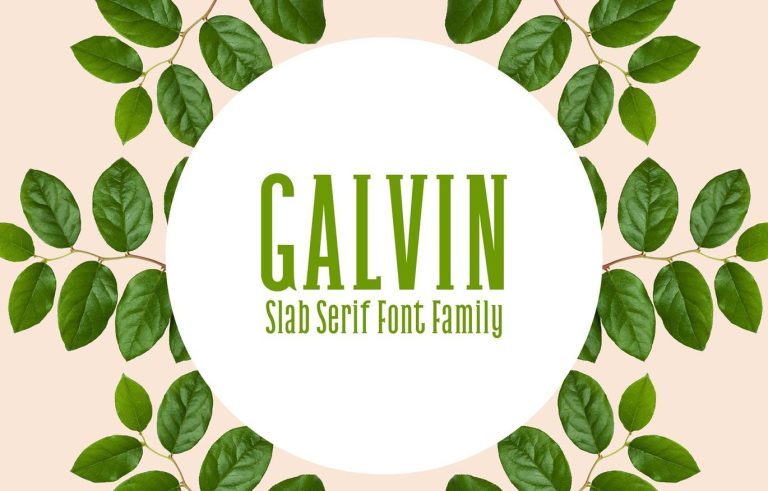 Galvin Slab Serif Font Family Pack
