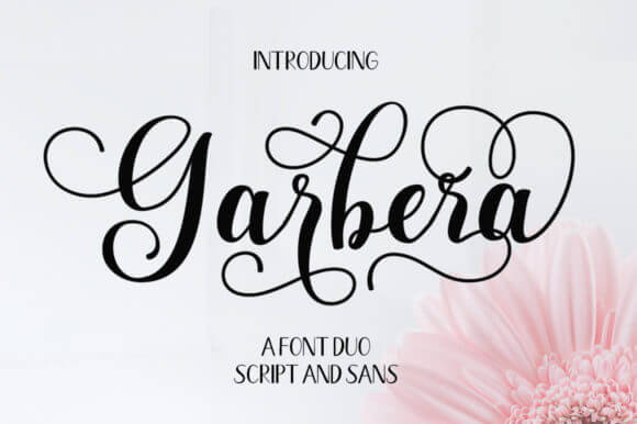 Garbera Duo Font