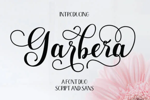 Garbera Duo Font