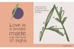 Garden floral romantic font