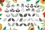 Gardenia Script Font