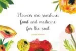 Gardenia Script Font