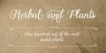 Gardeny Font