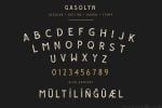 Gasolyn Font Family