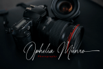 Gasthony Signature Font