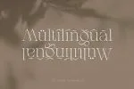 Gatlinburg - Modern Serif Font