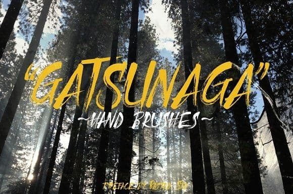 Gatsunaga Hand Brushes