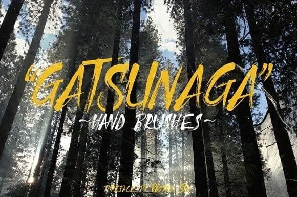Gatsunaga Hand Brushes