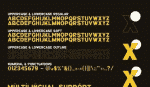 GearUp Sports Business Font