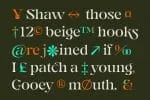 Gegor Serif Display Font
