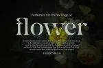 Gegor Serif Display Font