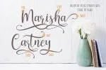 Geishela Script Font