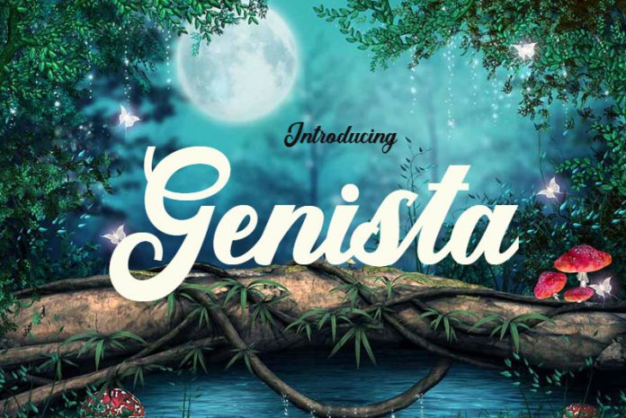Genista font