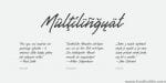Gentlemen's Script Font