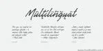 Gentlemen's Script Font