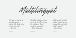 Gentlemen's Script Font Cyrillic