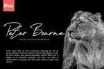 George Signature Classy Font