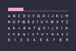 George Rounded Sans Serif