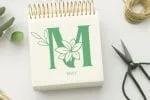 Georgia Monogram Font