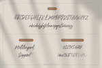 Getting Shine Font