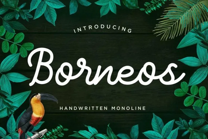 Ghaniyun Monoline Font