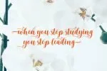 Gidget Font