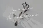 Gilly Fleurs Font