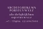 Ginetta Marriage Serif Font