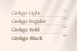 Gingko Font