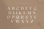 Gingko Font