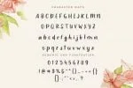 Girls Story - Fancy handwriting font