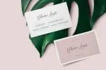 Gistesy Signature Collection