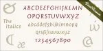 Giureska Family 5 Styles Font