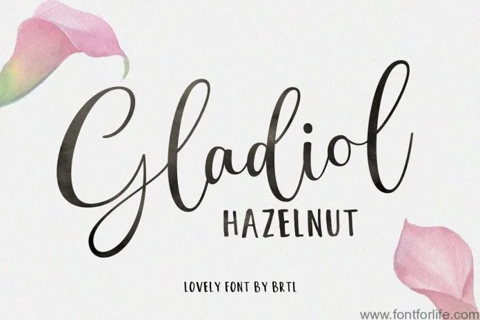 Gladiol Haze Lovely Script Font