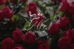 Glass Script Font