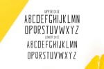 Glennda Family Font
