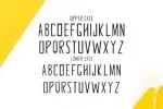 Glennda Family Font