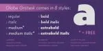 Globe Grotesk Display Font Family