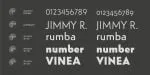 Globe Grotesk Display Font Family