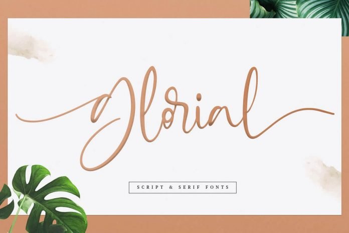 Glorial Font Duo Script & Serif