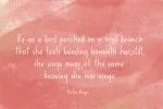 Goldfinch Font